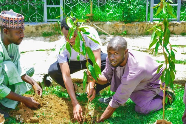 Al-Huda Tree Planting Campaign in Wailari Community